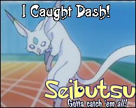 The Dash Card of Card Captor Sakura