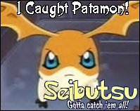 Patamon of Digimon